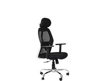 Executive Chair 19